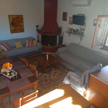 Rodomelo House - 3 Bedrooms Leonídio Kültér fotó
